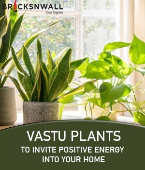 Vastu plants to invite positive energy into your home